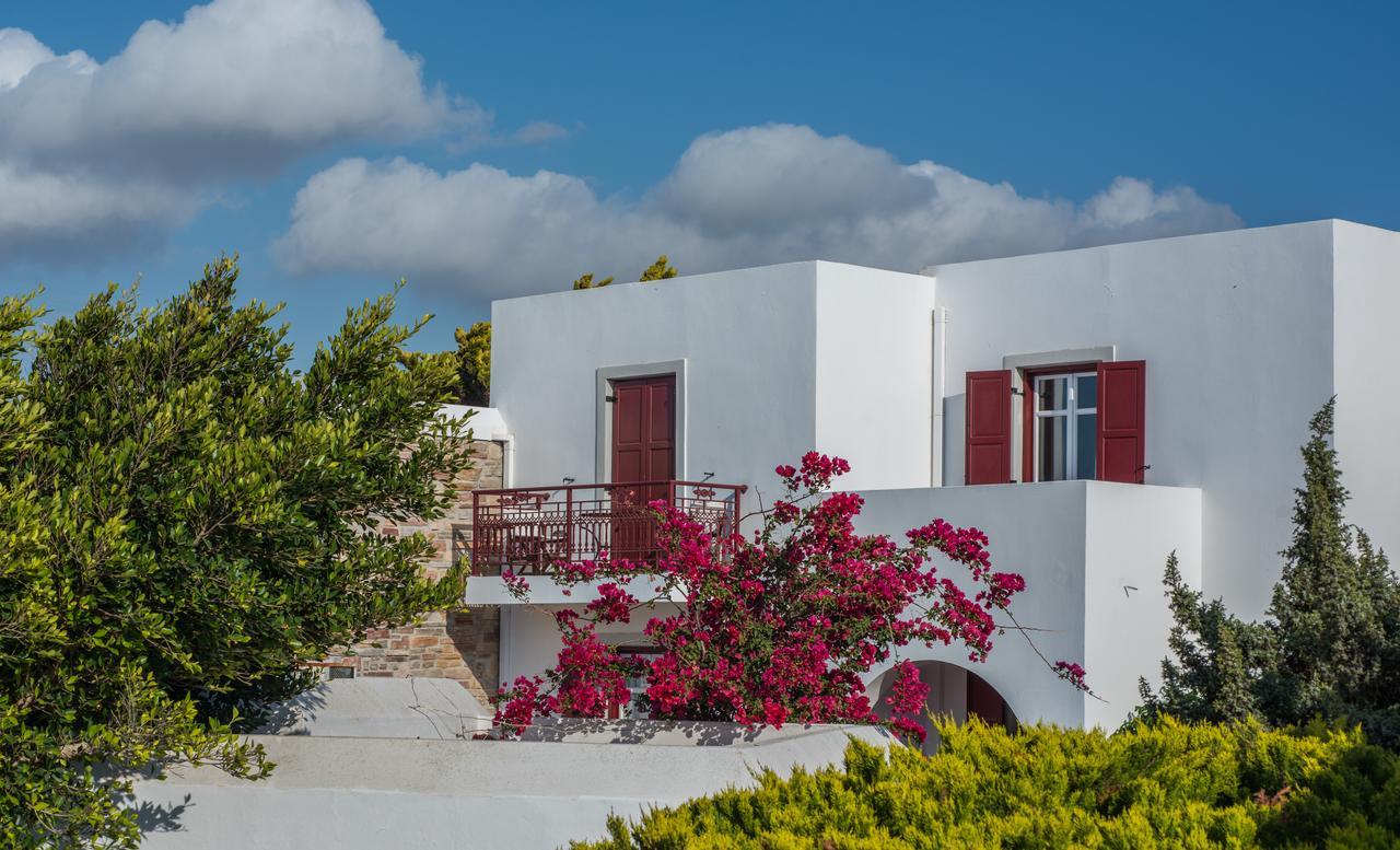 Naxos Palace Hotel Stelida  Dış mekan fotoğraf